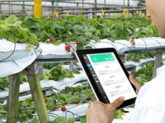 Agricultura inteligente con IoT Beyond Connectivity